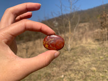 Charger l'image dans la galerie, Jaspe Noreena 18