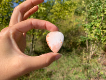 Charger l'image dans la galerie, VENDU Scolécite 16