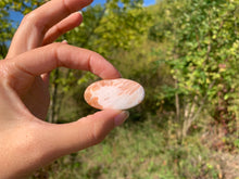 Charger l'image dans la galerie, Scolécite 17