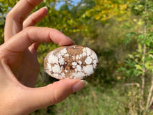 Charger l'image dans la galerie, Magnésite Wild Horse 3