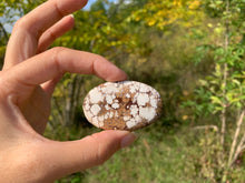 Charger l'image dans la galerie, Magnésite Wild Horse 3