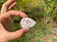 Charger l'image dans la galerie, Magnésite Wild Horse 4