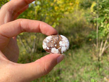 Charger l'image dans la galerie, Magnésite Wild Horse 11