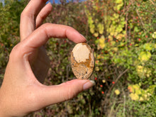 Charger l'image dans la galerie, Jaspe Paysage 7