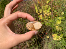 Charger l'image dans la galerie, Jaspe Paysage 7