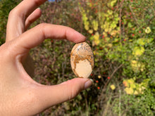 Charger l'image dans la galerie, Jaspe Paysage 7