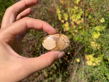 Charger l'image dans la galerie, Jaspe Paysage 7