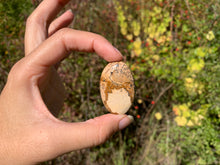Charger l'image dans la galerie, Jaspe Paysage 7