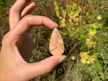 Charger l'image dans la galerie, Jaspe Paysage 9