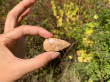 Charger l'image dans la galerie, Jaspe Paysage 9