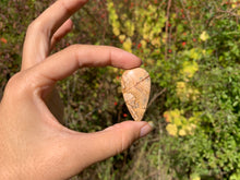 Charger l'image dans la galerie, Jaspe Paysage 9