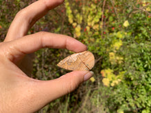 Charger l'image dans la galerie, Jaspe Paysage 9