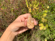 Charger l'image dans la galerie, Jaspe Paysage 9