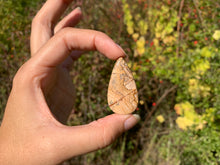 Charger l'image dans la galerie, Jaspe Paysage 9