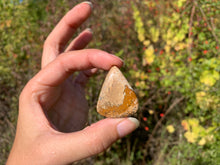 Charger l'image dans la galerie, Jaspe Paysage 10