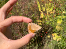 Charger l'image dans la galerie, Jaspe Paysage 10