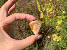 Charger l'image dans la galerie, Jaspe Paysage 10