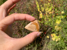 Charger l'image dans la galerie, Jaspe Paysage 10