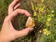 Charger l'image dans la galerie, Jaspe Paysage 10
