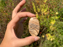 Charger l'image dans la galerie, Jaspe Paysage 11