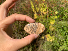 Charger l'image dans la galerie, Jaspe Paysage 11