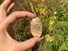 Charger l'image dans la galerie, Jaspe Paysage 11