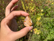 Charger l'image dans la galerie, Jaspe Paysage 15