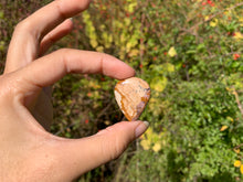 Charger l'image dans la galerie, Jaspe Paysage 15