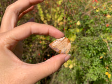 Charger l'image dans la galerie, Jaspe Paysage 15