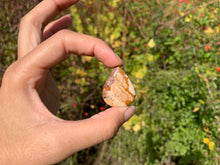 Charger l'image dans la galerie, Jaspe Paysage 15