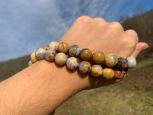 Charger l'image dans la galerie, Perles en agate crazy lace entre 4 et 12mm