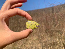 Charger l'image dans la galerie, VENDU Atlantisite 2