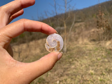 Charger l'image dans la galerie, VENDU Ammonite 1