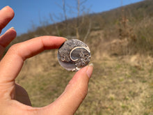 Charger l'image dans la galerie, VENDU Ammonite 2