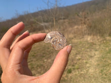 Charger l'image dans la galerie, Ammonite 3