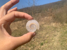 Charger l'image dans la galerie, VENDU Ammonite 4