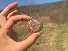 Charger l'image dans la galerie, VENDU Ammonite 5