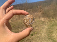 Charger l'image dans la galerie, VENDU Ammonite 5