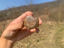 Charger l'image dans la galerie, VENDU Ammonite 5