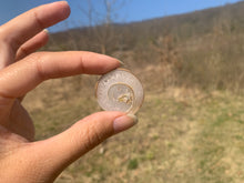 Charger l'image dans la galerie, VENDU Ammonite 7