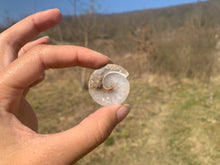 Charger l'image dans la galerie, VENDU Ammonite 8