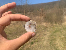 Charger l'image dans la galerie, VENDU Ammonite 8