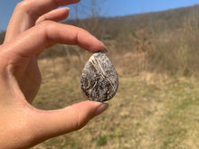 Charger l'image dans la galerie, Ammonite noire 2