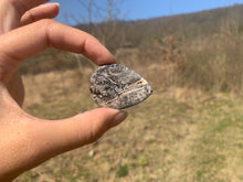 Charger l'image dans la galerie, Ammonite noire 2