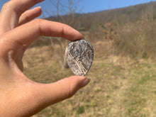 Charger l'image dans la galerie, Ammonite noire 2