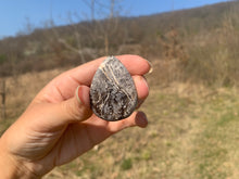 Charger l'image dans la galerie, Ammonite noire 2