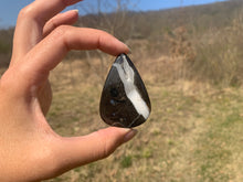 Charger l'image dans la galerie, Ammonite noire 3