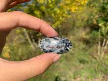 Charger l'image dans la galerie, VENDU Astrophyllite 7