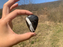 Charger l'image dans la galerie, Ammonite noire 3