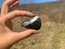 Charger l'image dans la galerie, Ammonite noire 3